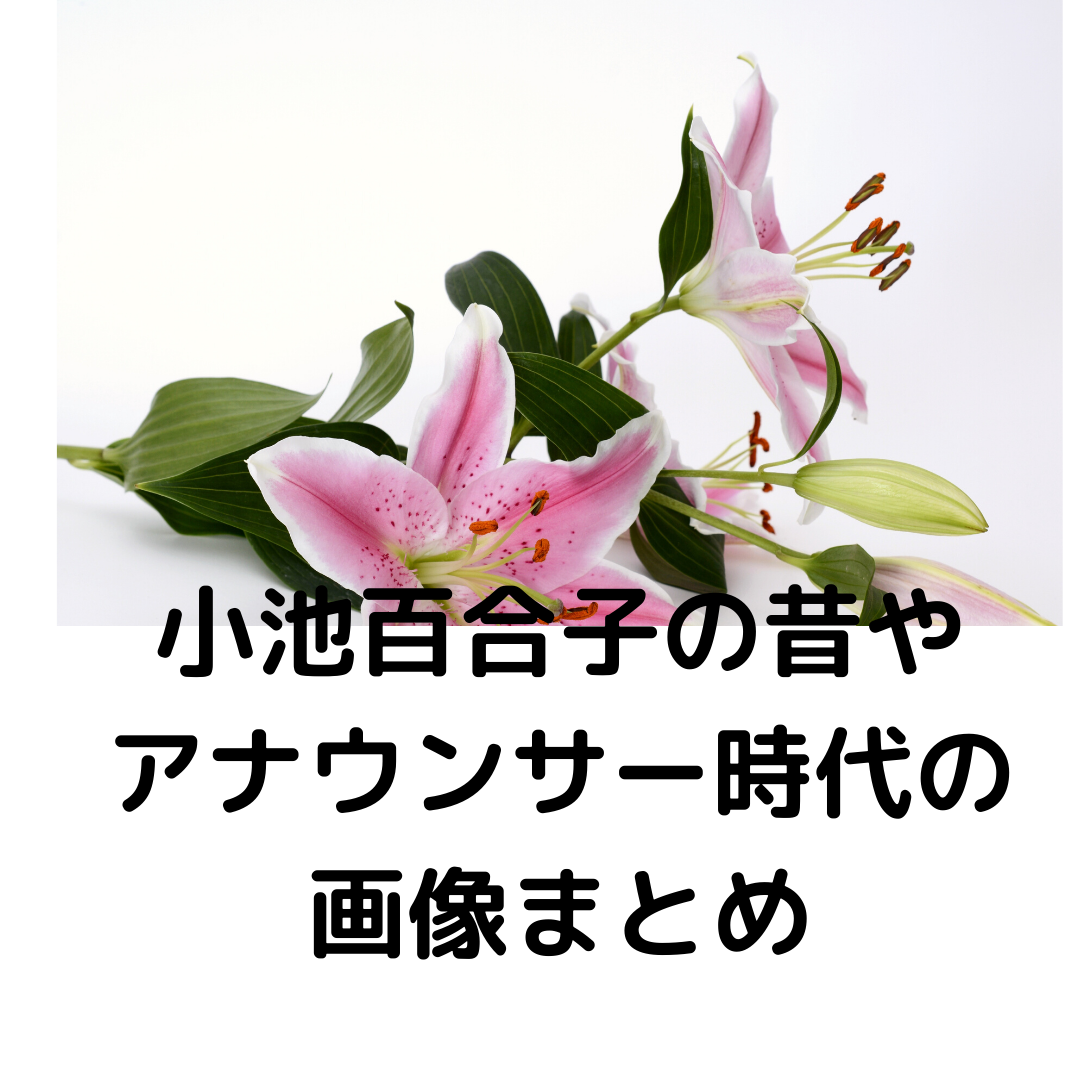 小池百合子の昔 若い頃 やアナウンサー時代のかわいい画像まとめ イラスプレス