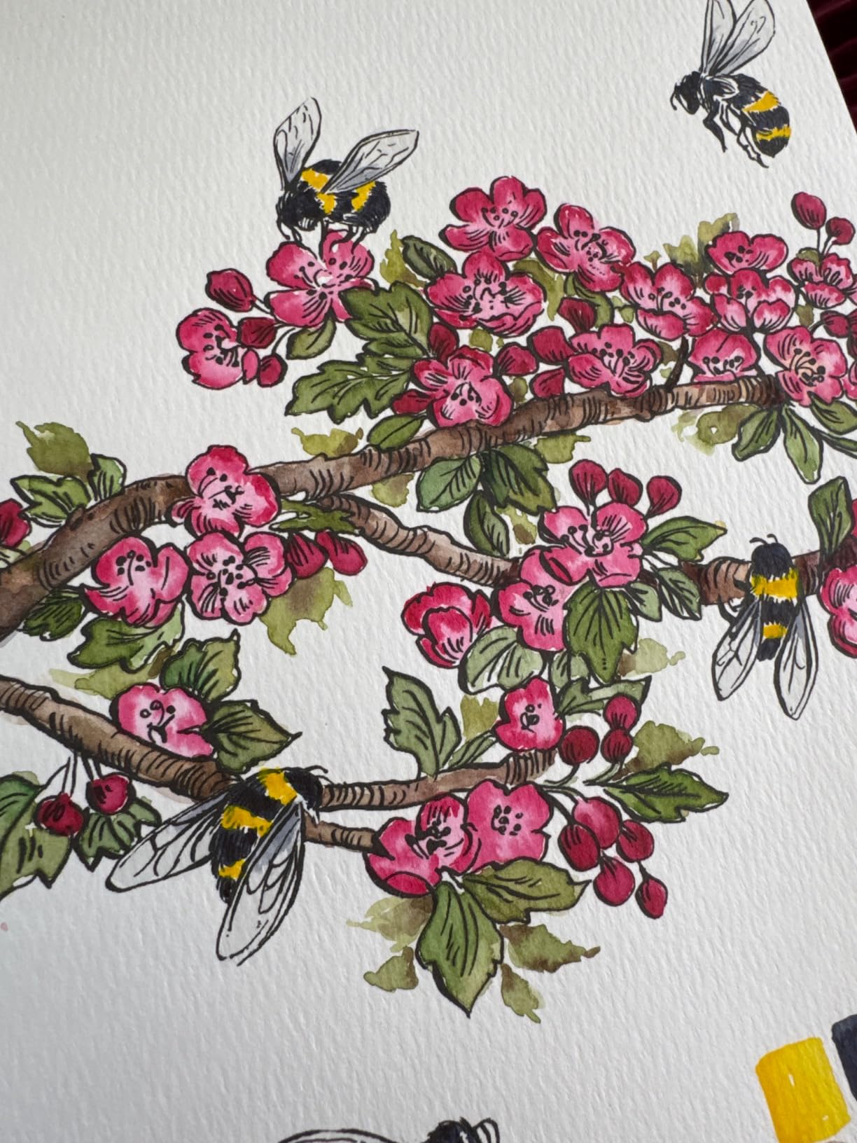 Woodland Watercolor: A Coloring Workbook customer photo 2
