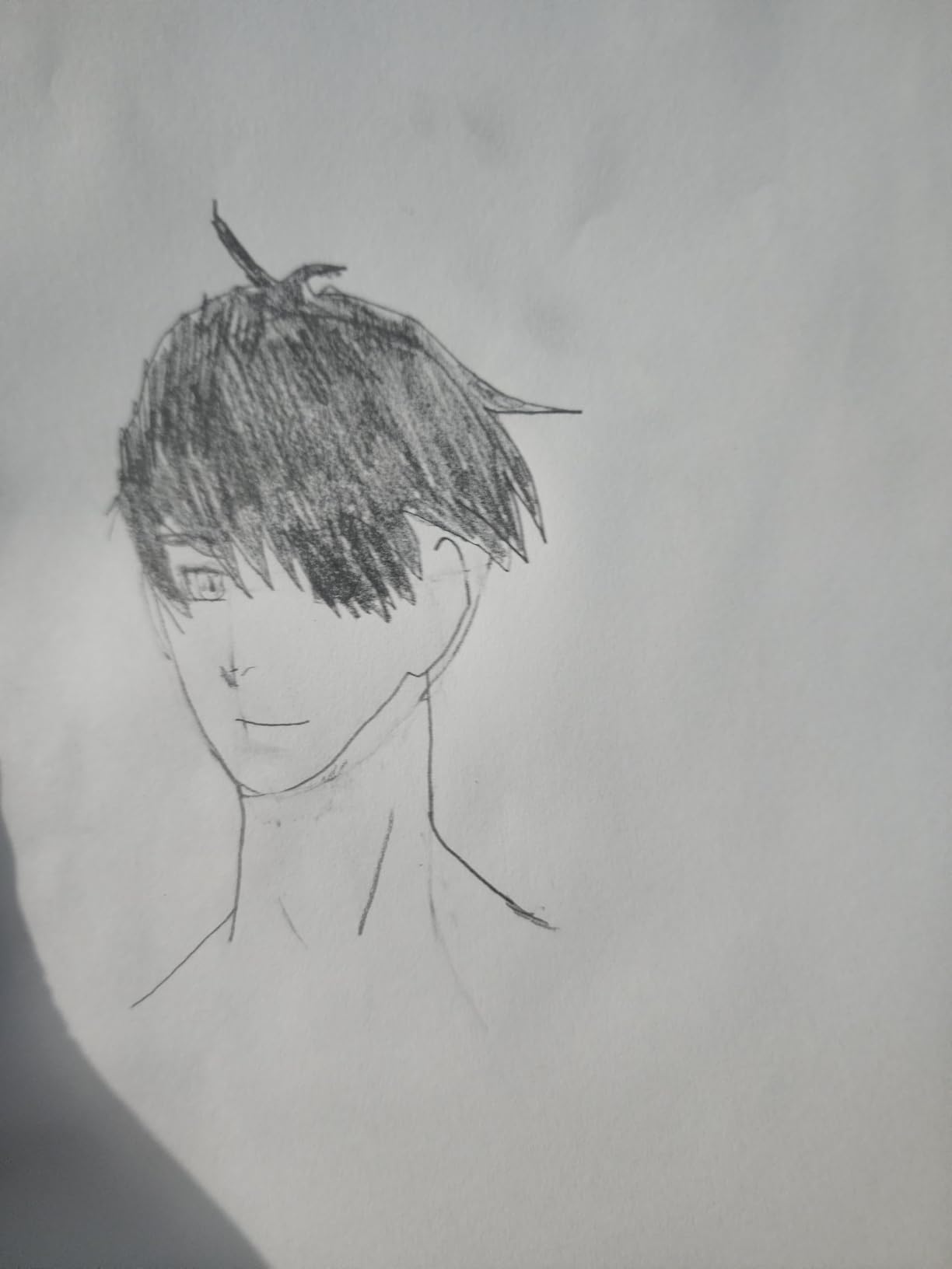 The Master Guide to Drawing Anime: How to Draw Original Characters from Simple Templates – A How to Draw Anime / Manga Books Series (Volume 1) customer photo 1