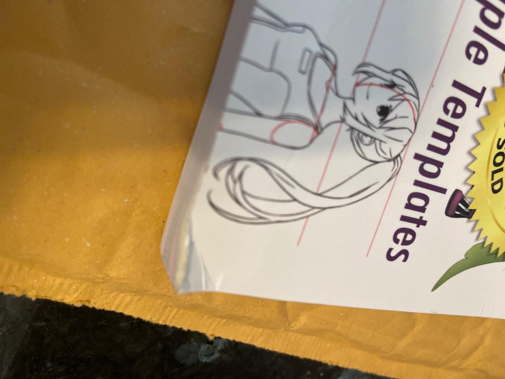 The Master Guide to Drawing Anime: How to Draw Original Characters from Simple Templates – A How to Draw Anime / Manga Books Series (Volume 1) customer photo 2