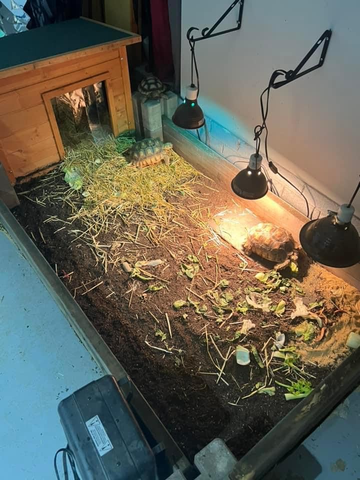 Zoo Med PowerSun UV Bulb 160 Watt customer photo 1