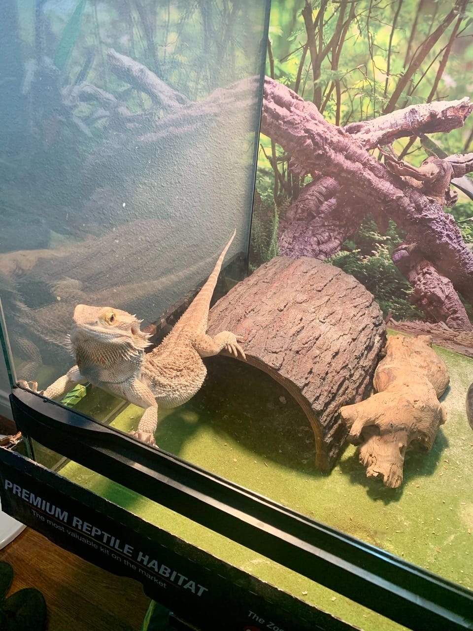 Fluker's Ceramic Heat Emitter, Natural Infrared Heating Bulb for Reptiles, 100 Watt customer photo 2