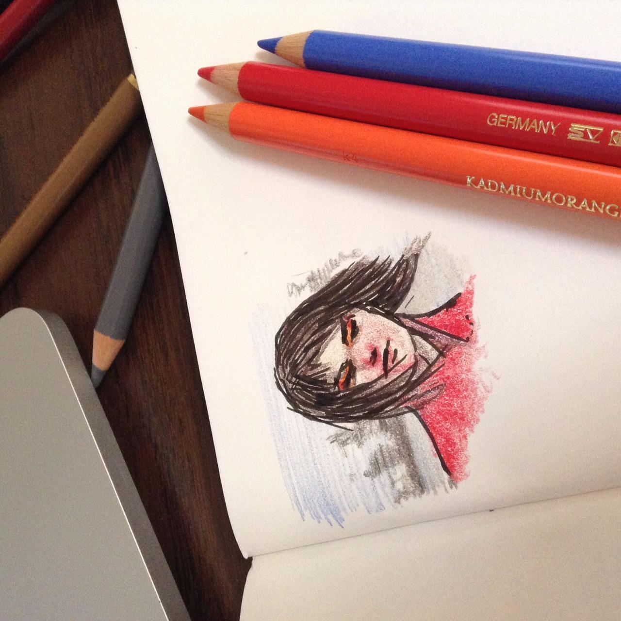 Faber-Castell Polychromos Artists' Color Pencils - Tin of 24 Colors - Premium Quality Artist Pencils customer photo 1