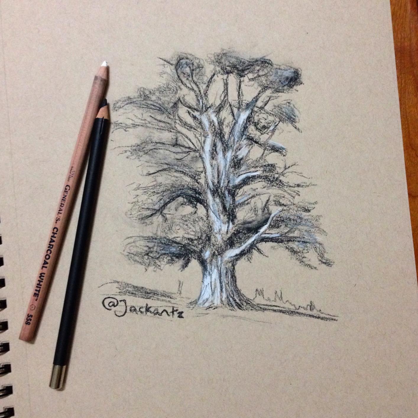 General Pencil Gen15 Charcoal Kit, Multicolor (GEN15) customer photo 1