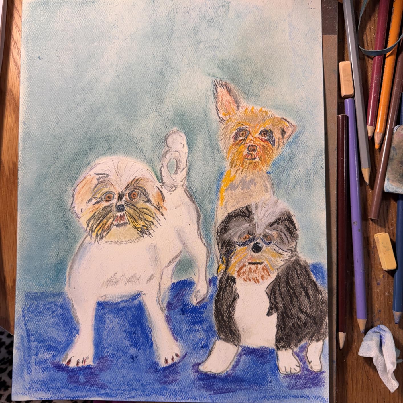Strathmore 400 Series Tape Bound Pastel Pad, 80 lb. Textured Surface, 9 X 12 inches, Assorted Colors, 24 Sheets (403-9) customer photo 2
