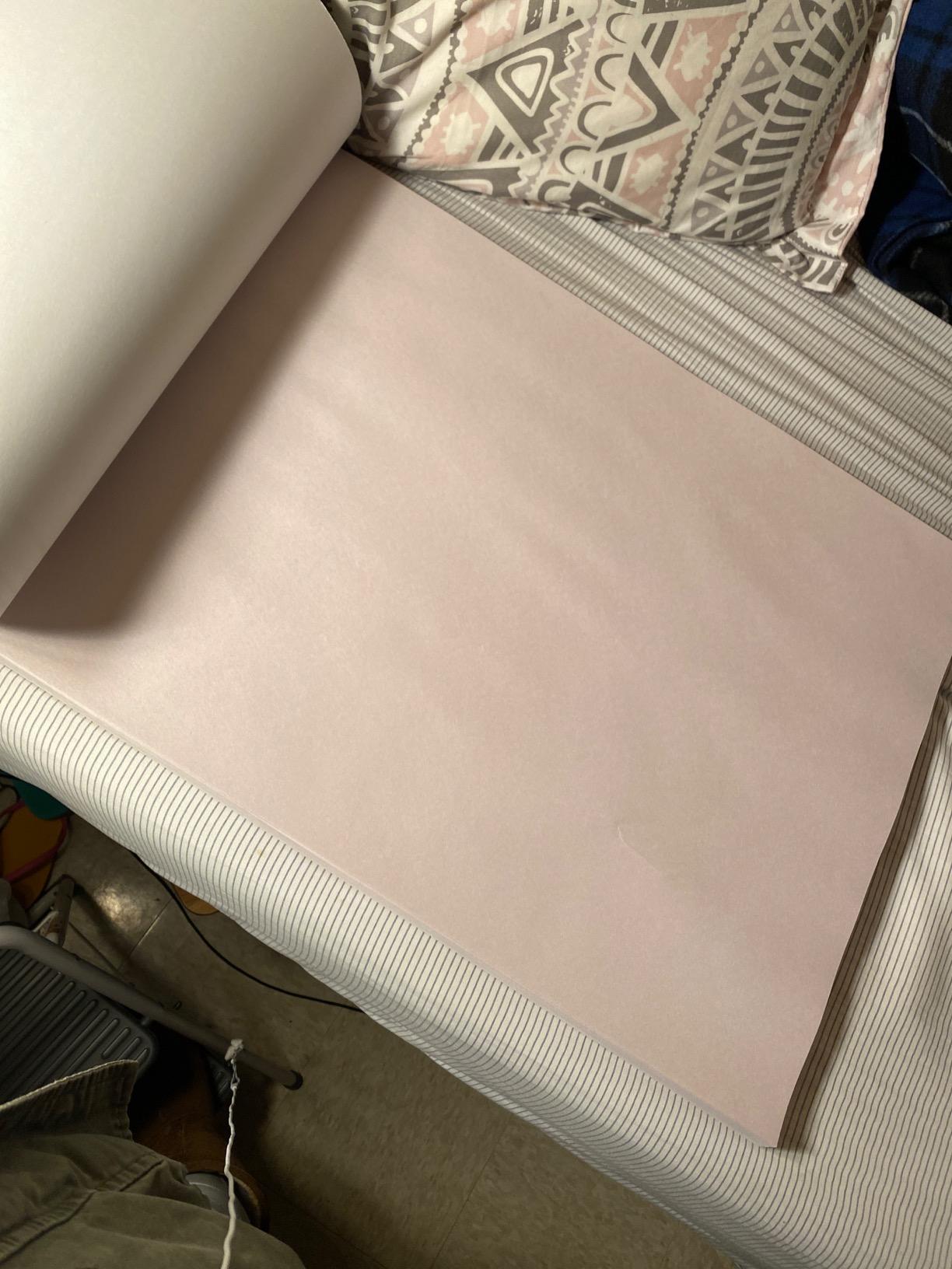 Canson Biggie Newsprint Pad - 18 x 24 Inches - 100 Sheet Pad customer photo 1
