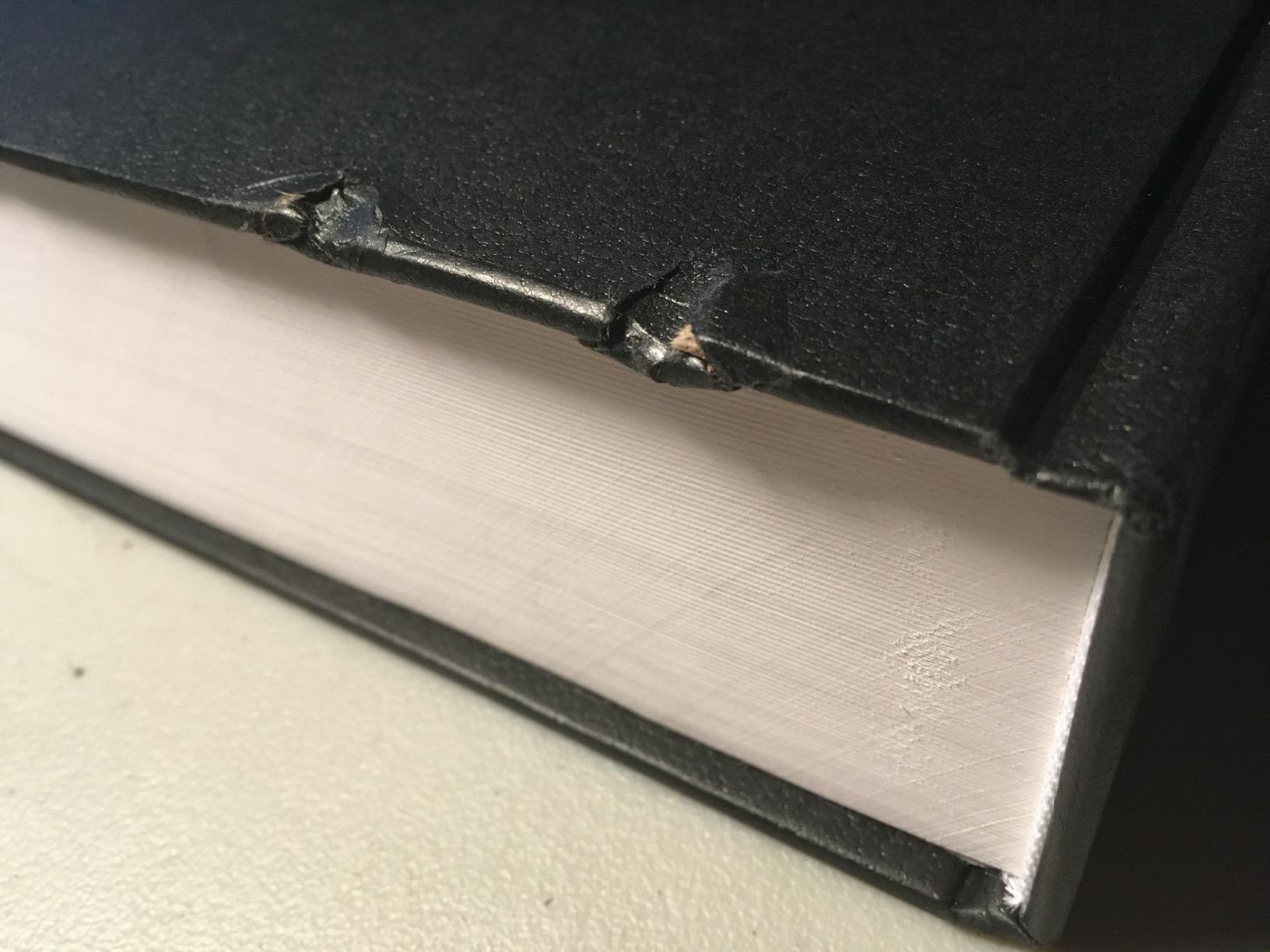 Art Alternatives Very Big Sketch Book customer photo 1