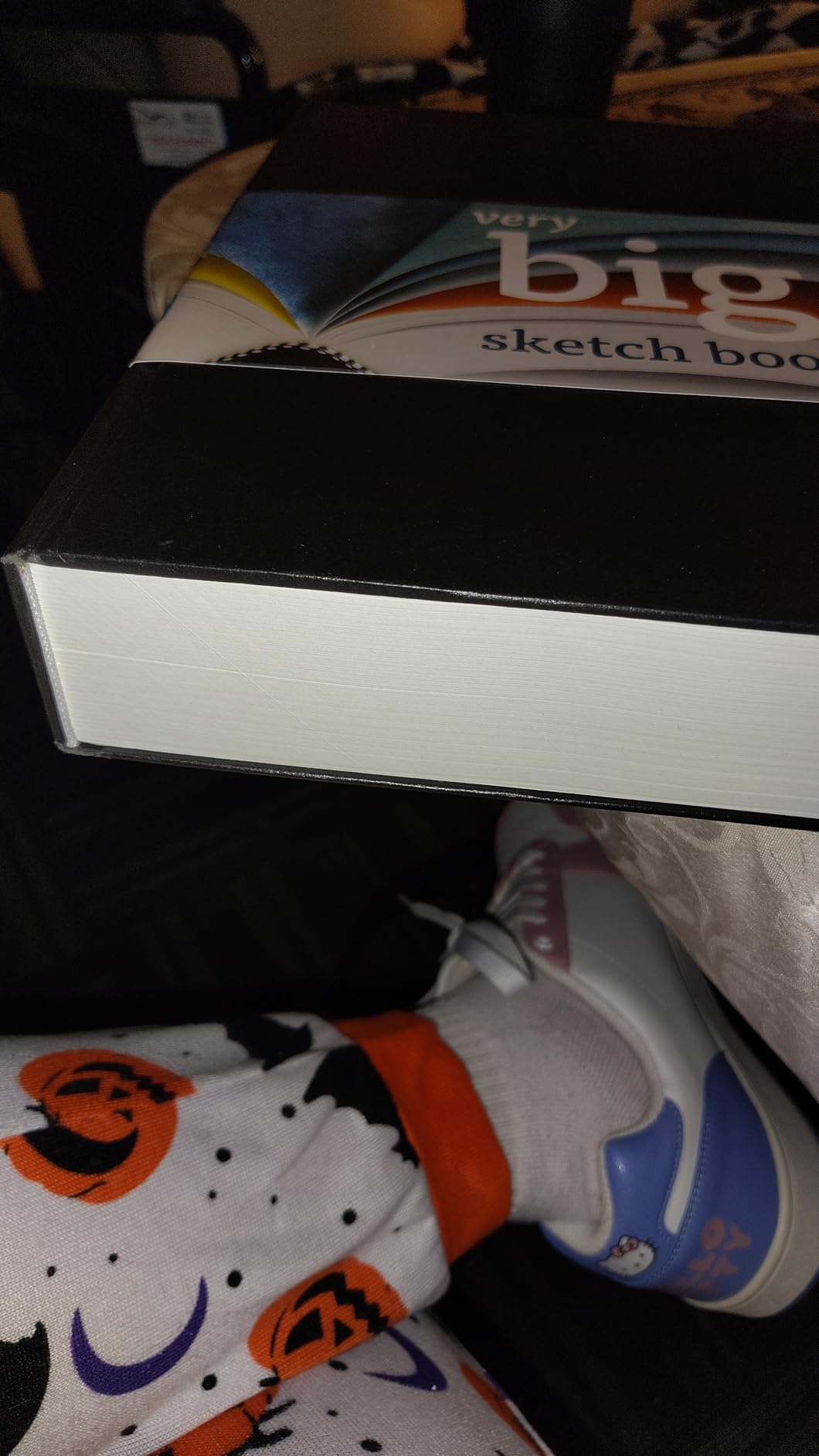 Art Alternatives Very Big Sketch Book customer photo 2