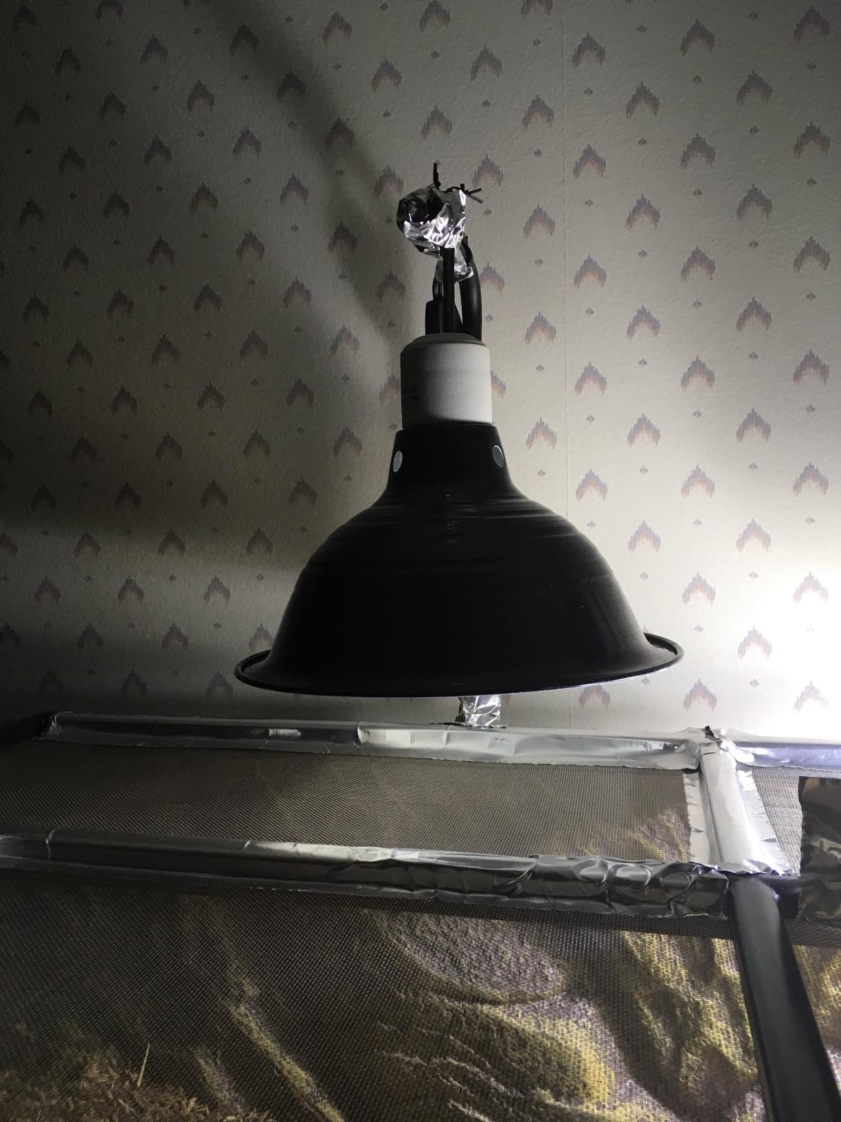 Zilla Premium Reflector Dome Reptile Heat Lamp Fixture, 8.5 Inches customer photo 1