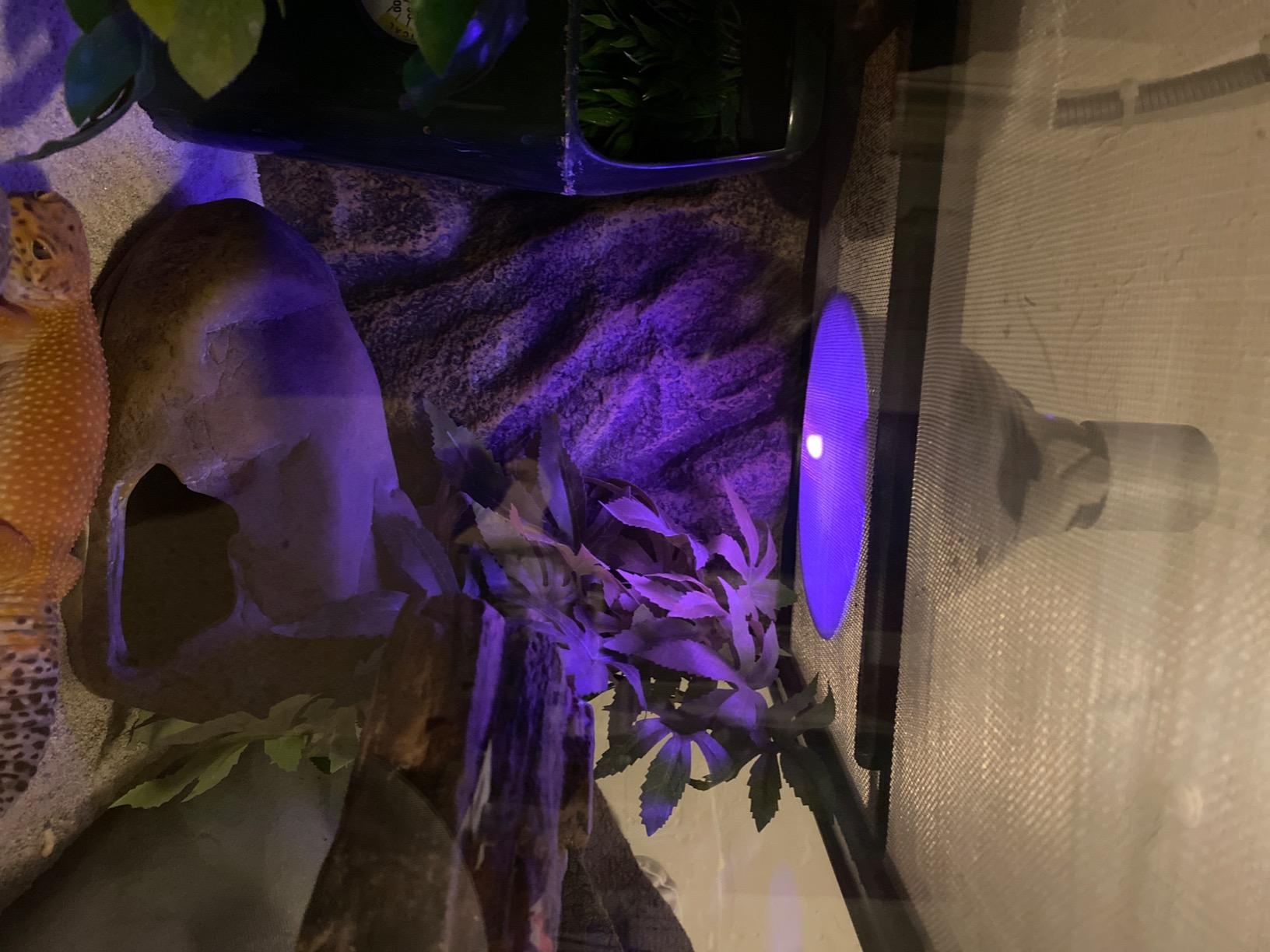 Zilla Premium Reflector Dome Reptile Heat Lamp Fixture, 8.5 Inches customer photo 2