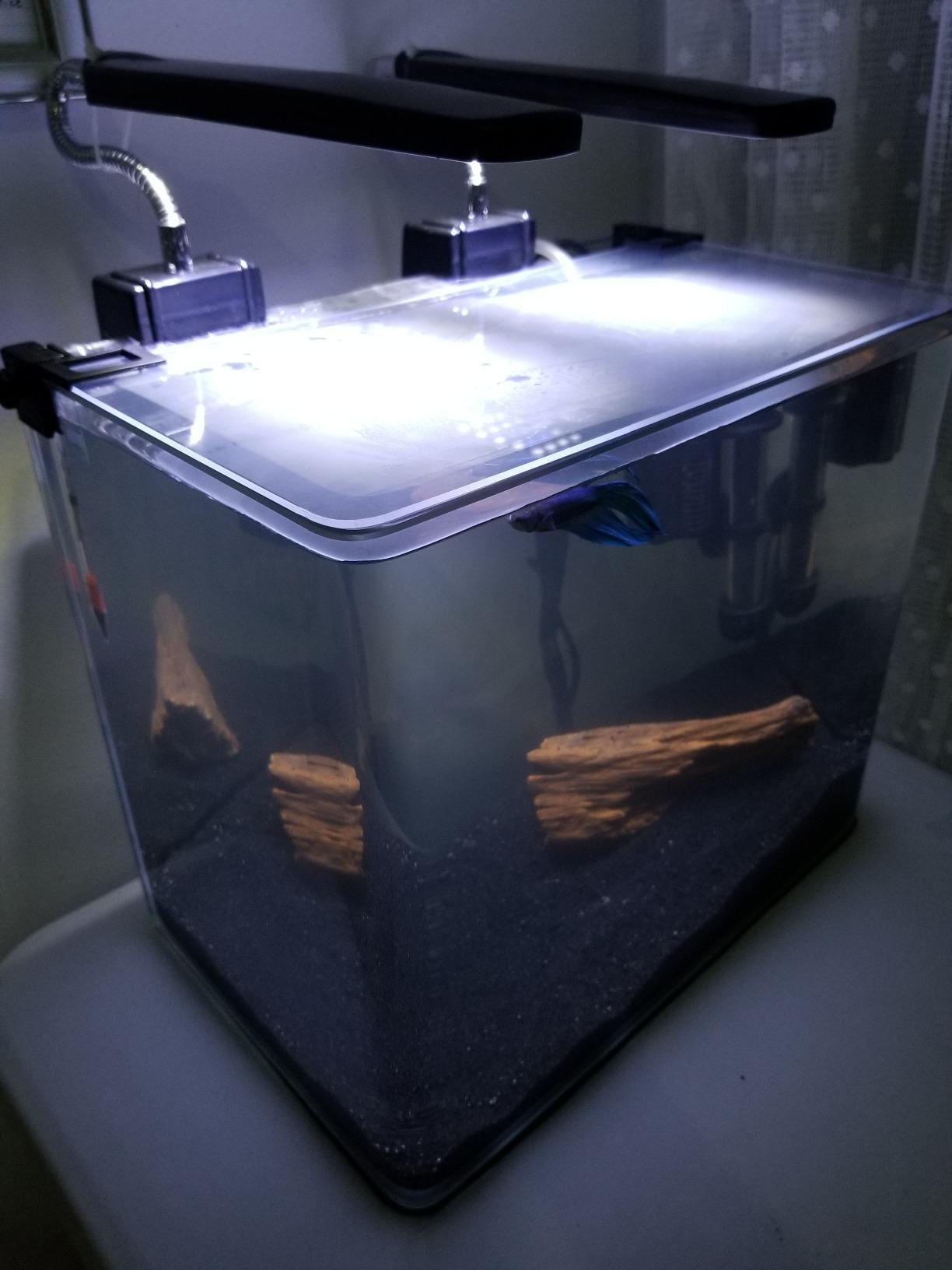 PENN-PLAX Water-World Radius Desktop Nano Aquarium Kit – Includes LED Light, Internal Filter, and Mat – Perfect for Shrimp and Small Fish – 10 Gallon Tank customer photo 1