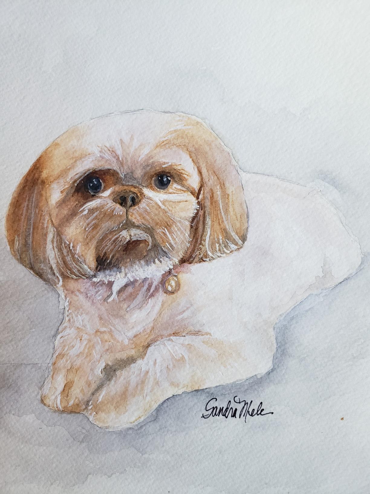 Watercolor Pad, Hot Press 9