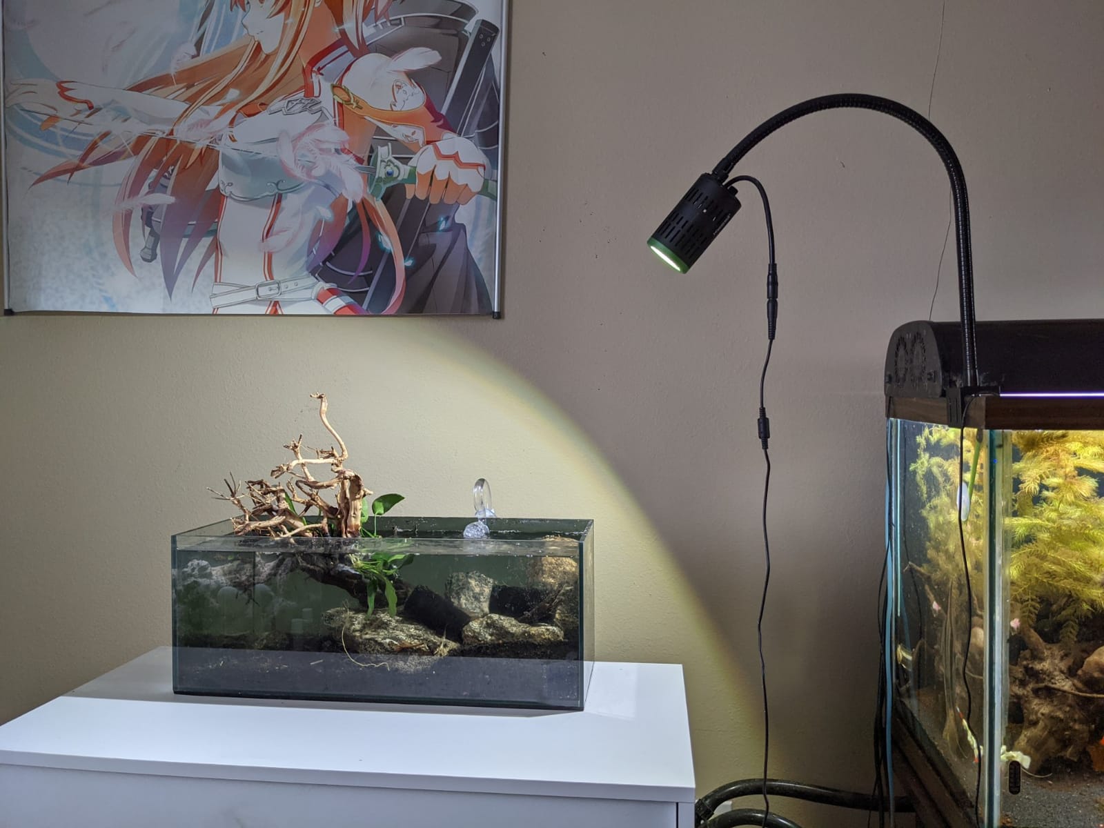 SunSun 3-Stage External Canister Filter for Aquariums & Ponds, 106 GPH Flow, Easy Setup & Maintenance, HW-603B customer photo 1