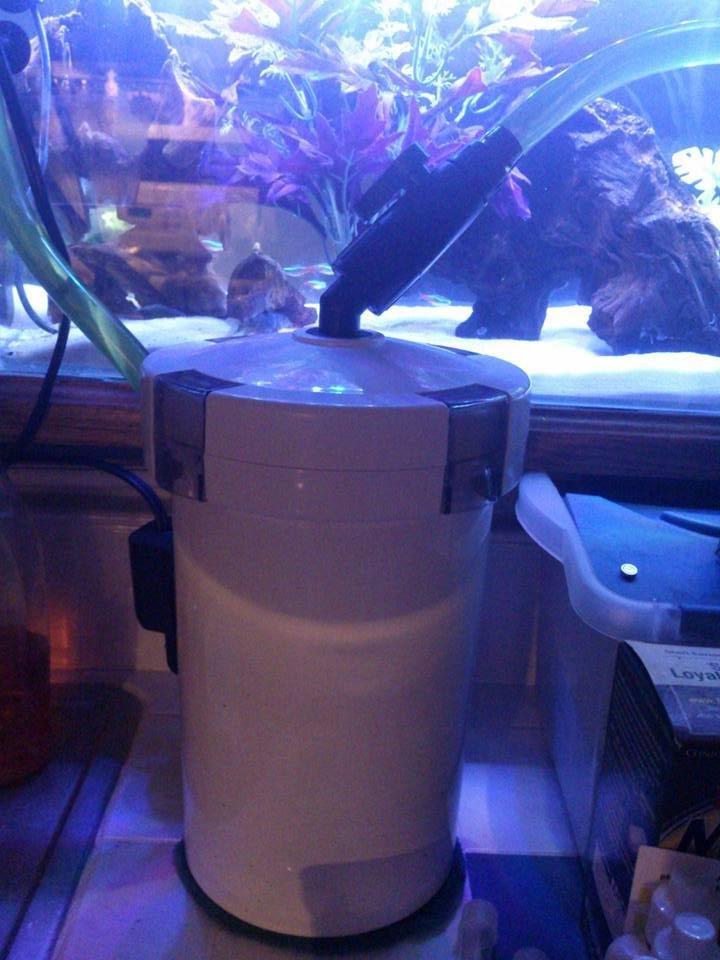 SunSun 3-Stage External Canister Filter for Aquariums & Ponds, 106 GPH Flow, Easy Setup & Maintenance, HW-603B customer photo 2