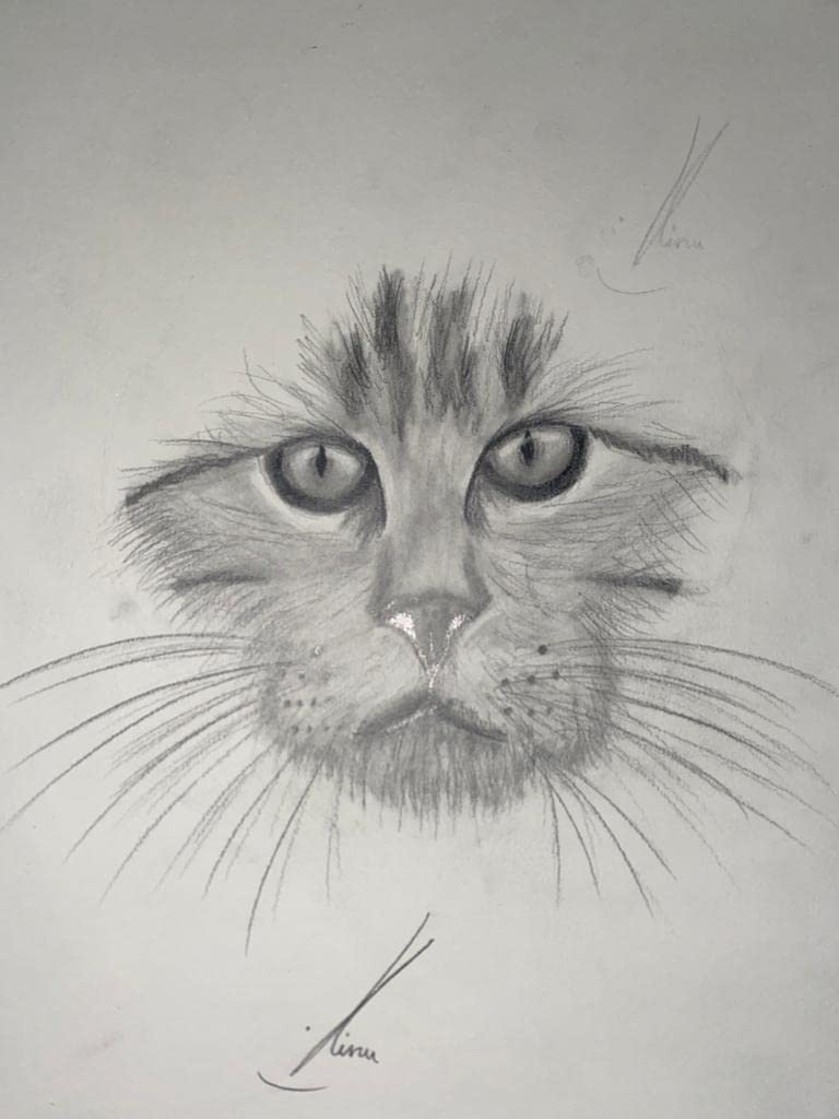 Strathmore 400 Series Wire Bound Colored Pencil Pad, 100 lb. Paper, 9 X 12 inches, 30 Sheets (477-9) customer photo 2