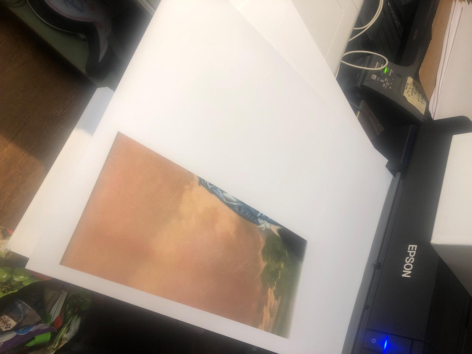 Epson SureColor P800 17