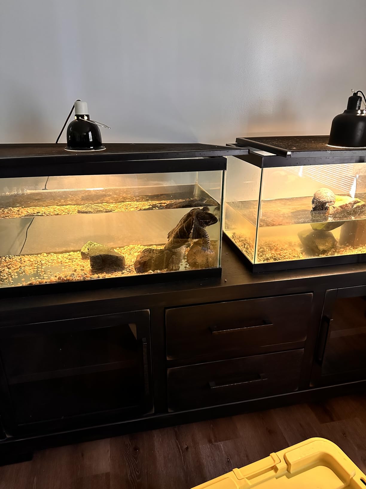 Marineland Magniflow 180 Canister Filter customer photo 2