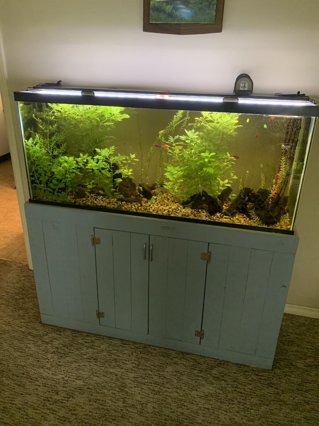 Marineland Magniflow 400 GPH Canister Aquarium Filter customer photo 2