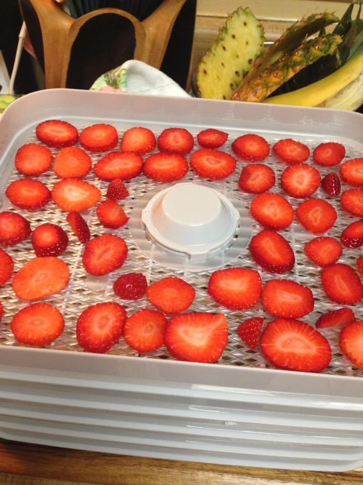 Hamilton Beach Digital Food Dehydrator for Fruit, Jerky, Vegetables & More customer photo 2