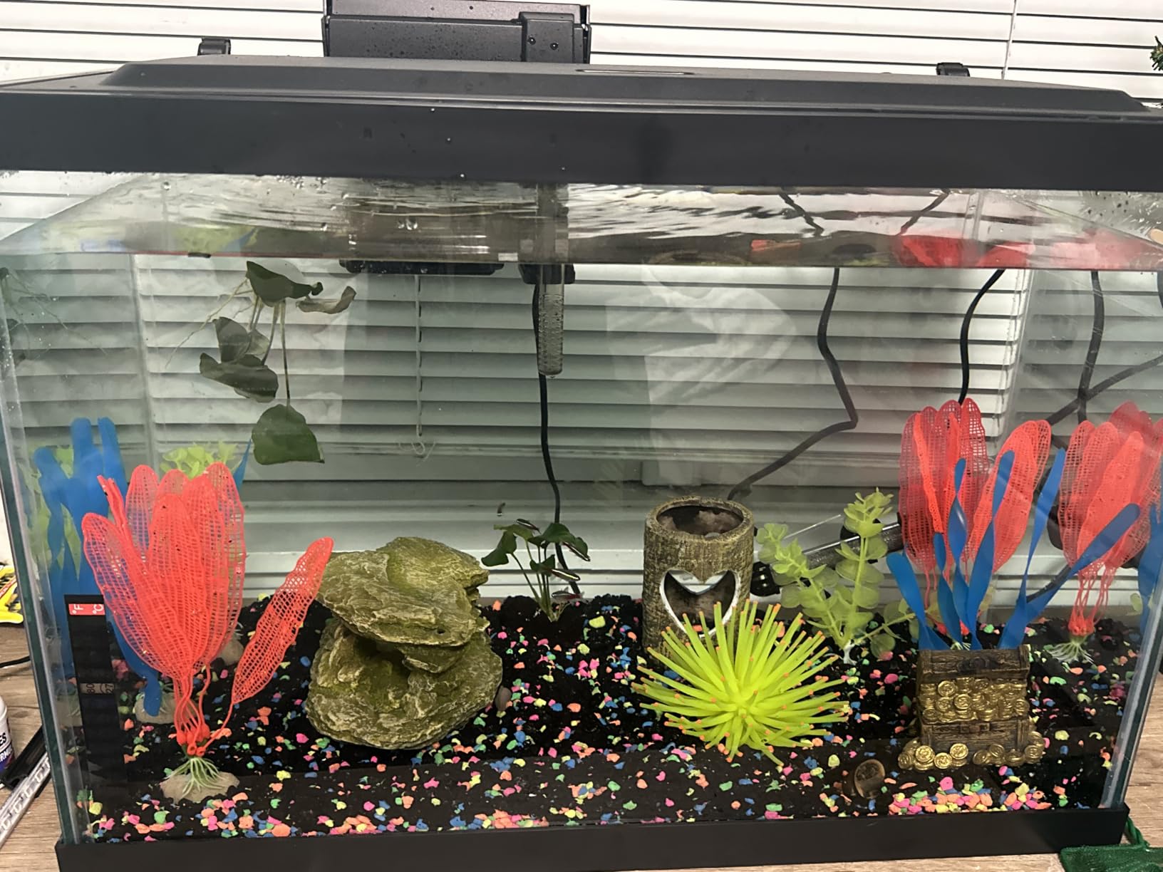 Tetra Color Complete 20 Gallon Fish Tank Kit for Freshwater, Saltwater Fish customer photo 2