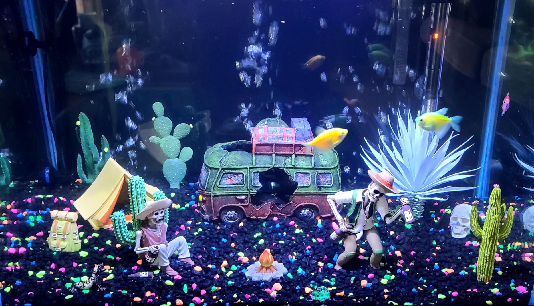 GloFish 20 Gallon Aquarium Kit with LED Lights, Decor Heater and Filter customer photo 1