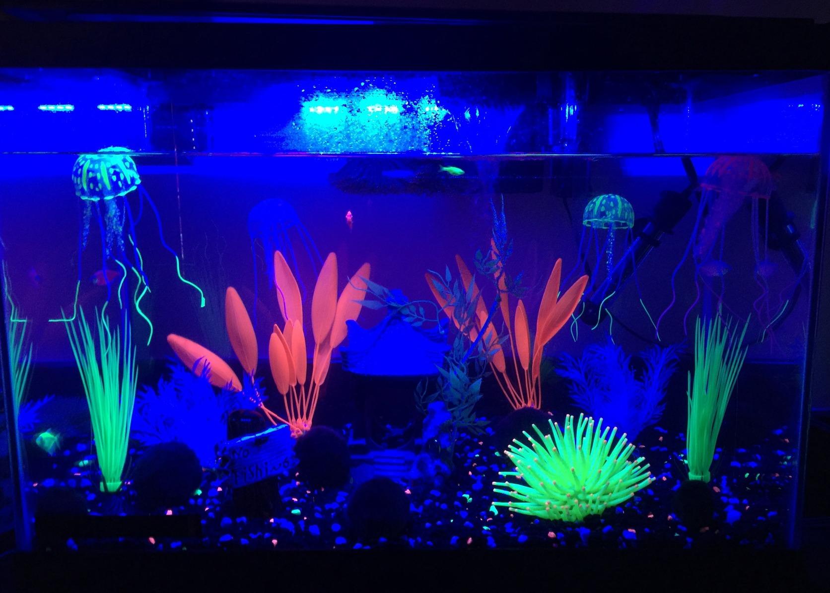 GloFish 20 Gallon Aquarium Kit with LED Lights, Decor Heater and Filter customer photo 2