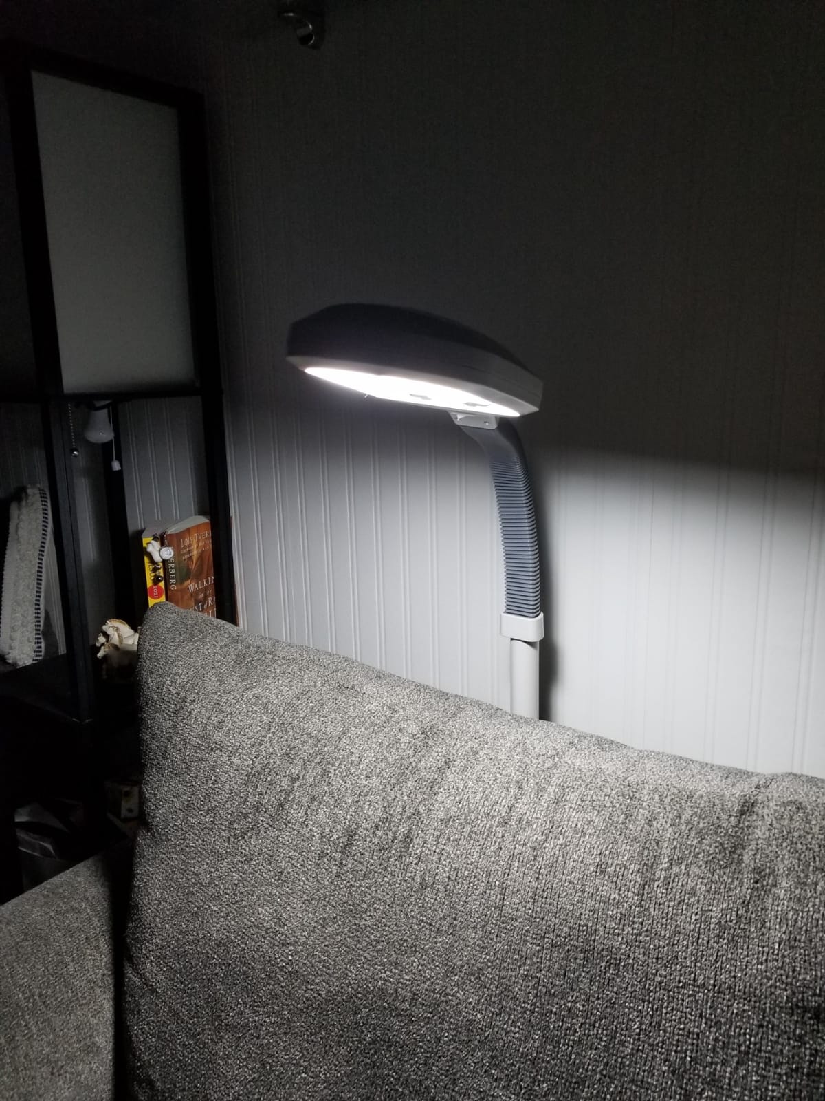Kenley Natural Daylight Floor Lamp with Adjustable Gooseneck customer photo 2