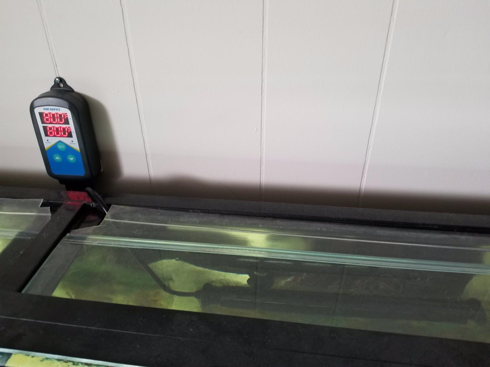 Finnex Premium Titanium Aquarium Heater, TH Series, Deluxe Nickel Coil, Heater Guard, Made in Taiwan (500 Watts) customer photo 1