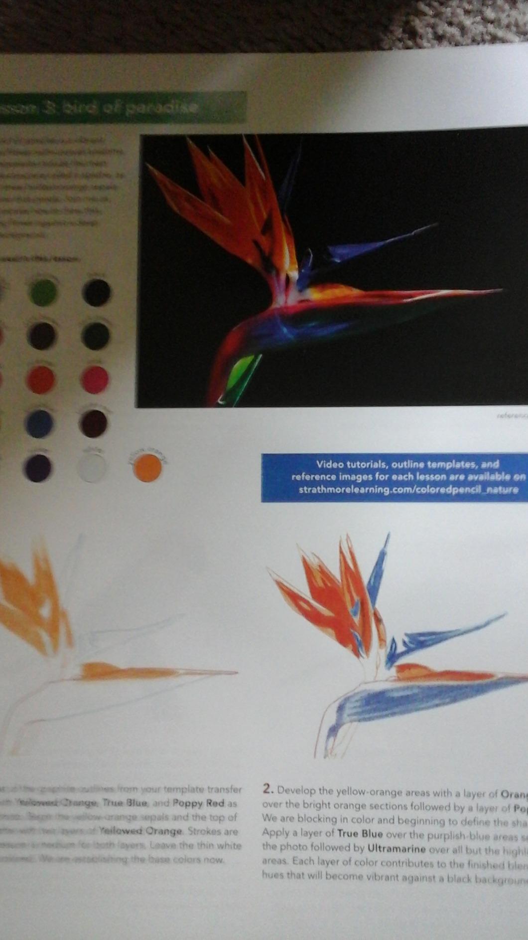 Strathmore Learn To Draw Wire Pad 9