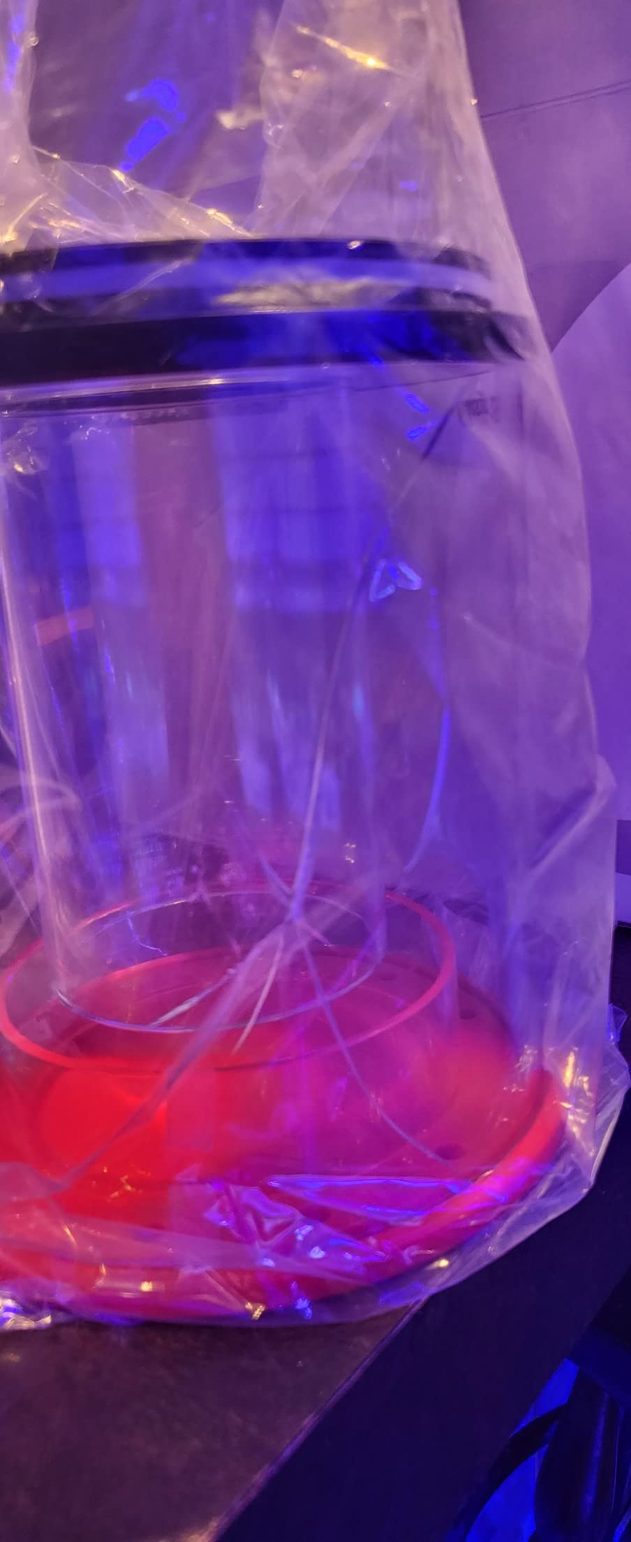 Reef Octopus Classic 150SSS Protein Skimmer customer photo 1