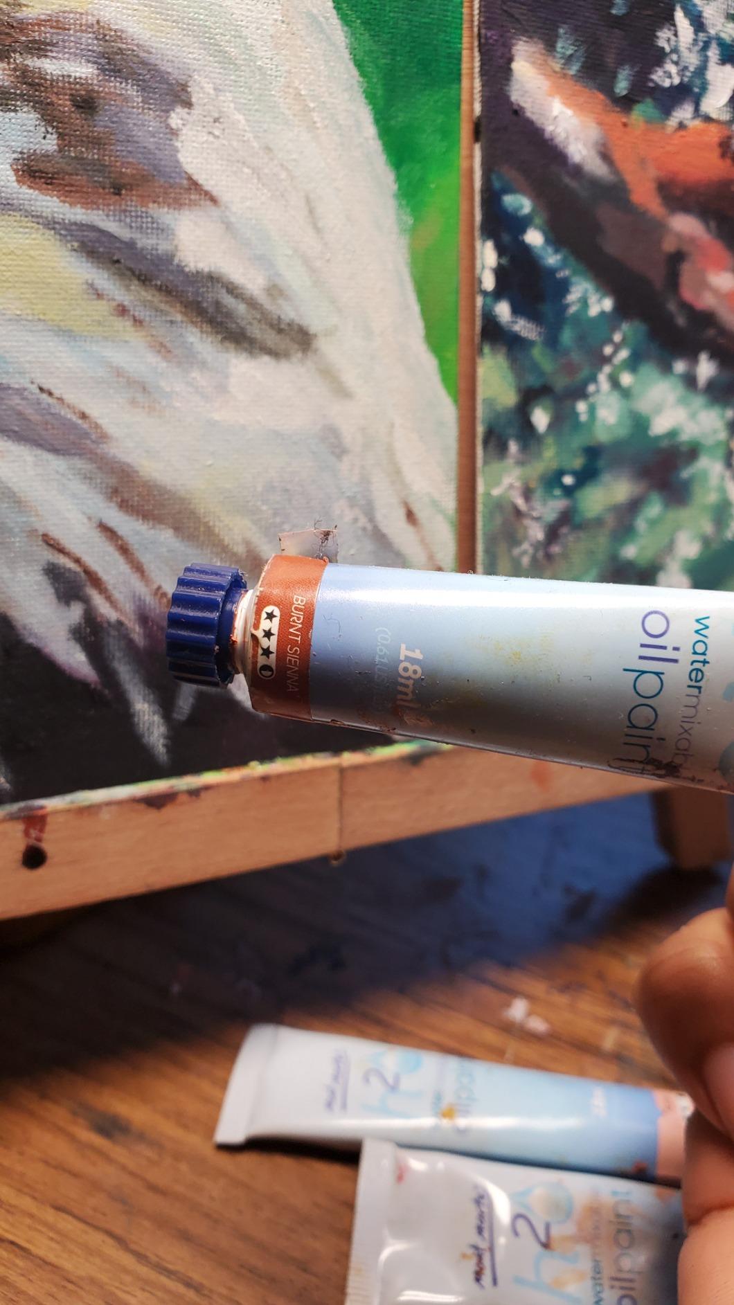 Mont Marte MPOW3618 Water-Soluble Oil Paint, Diluted with Water, 1.2 x 0.6 fl oz (36 Colors x 18 ml), Water Mixable OIL Paint Set, Satin Finish customer photo 2