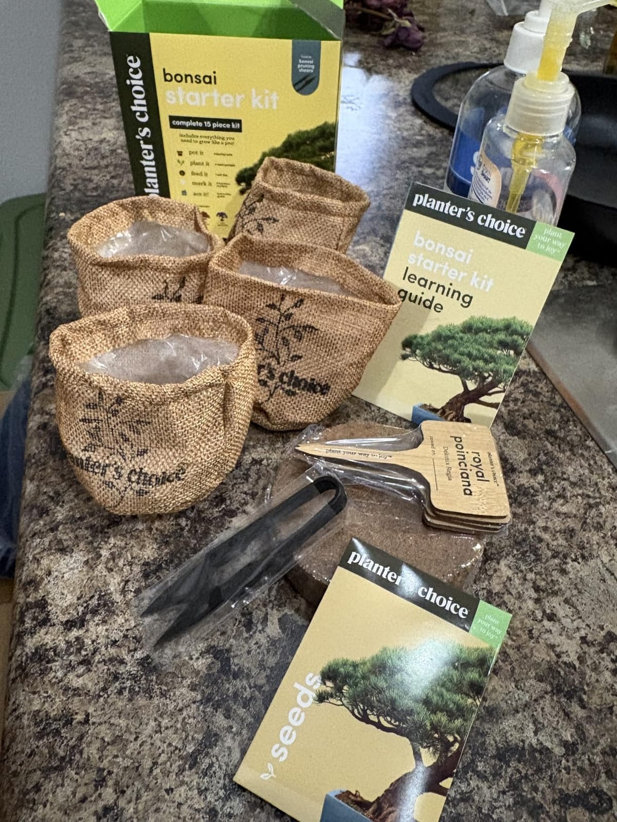 Bonsai Tree Kit for Beginners & Plant Lovers - Grow Your Own Bonsai customer photo 2