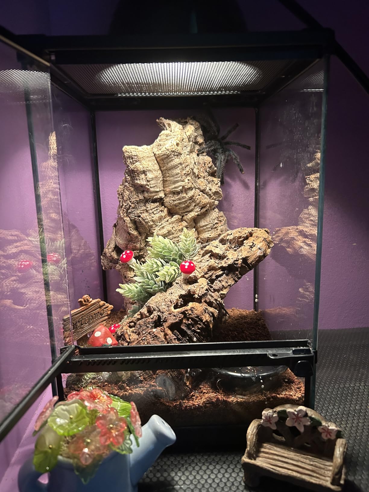 Zoo Med 25W Nano Basking Spot Lamp, 2pk customer photo 1