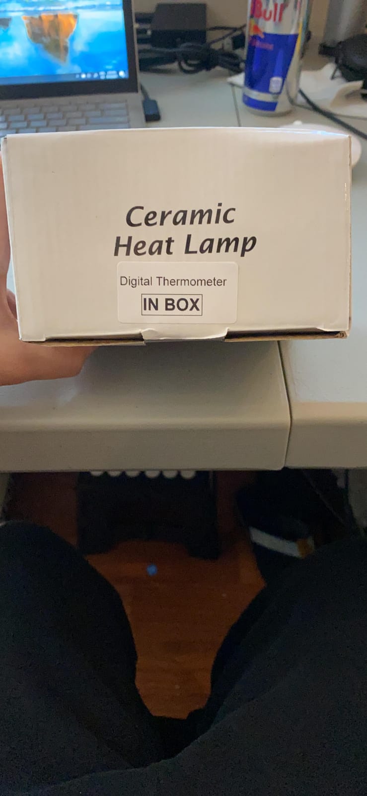 2-Pack 100W Ceramic Heat Lamps with 1-pcs Digital-Thermometer customer photo 2
