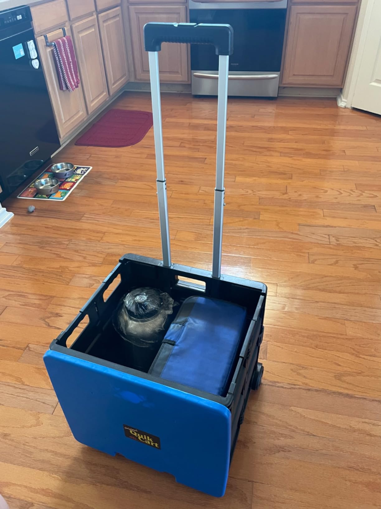 dbest Products Quik Cart Standard Collapsible Rolling Crate - Blue Lid customer photo 1
