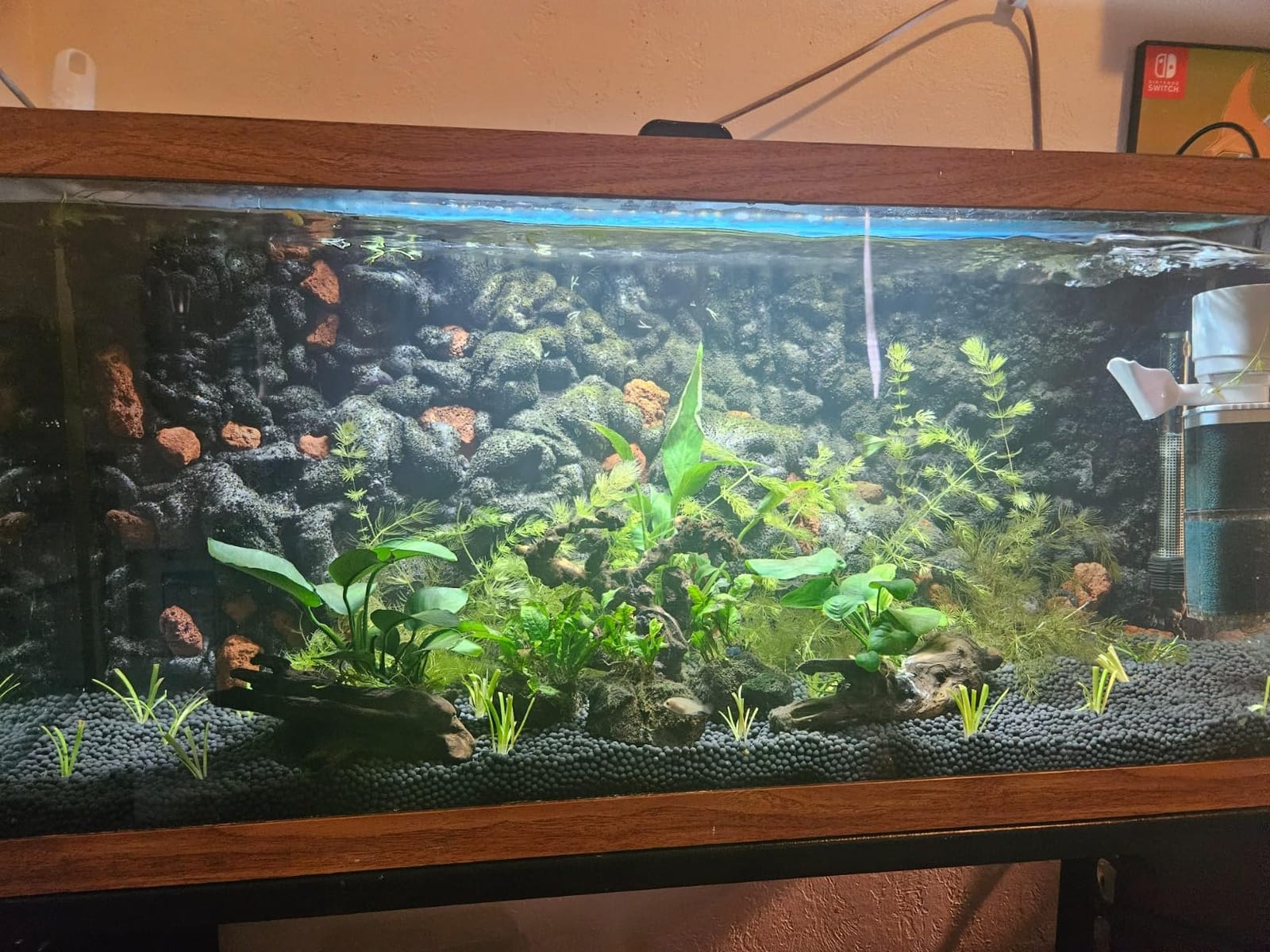 Fluval Aquasky 2.0 Bluetooth LED Aquarium Light, 18W, 24–36