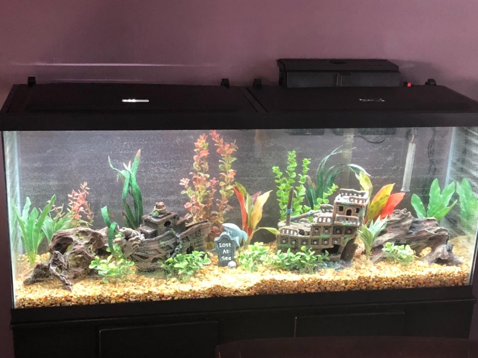 Tetra Complete with Plants 55 Gallon Fish Tank Kit, Freshwater & Saltwater customer photo 1