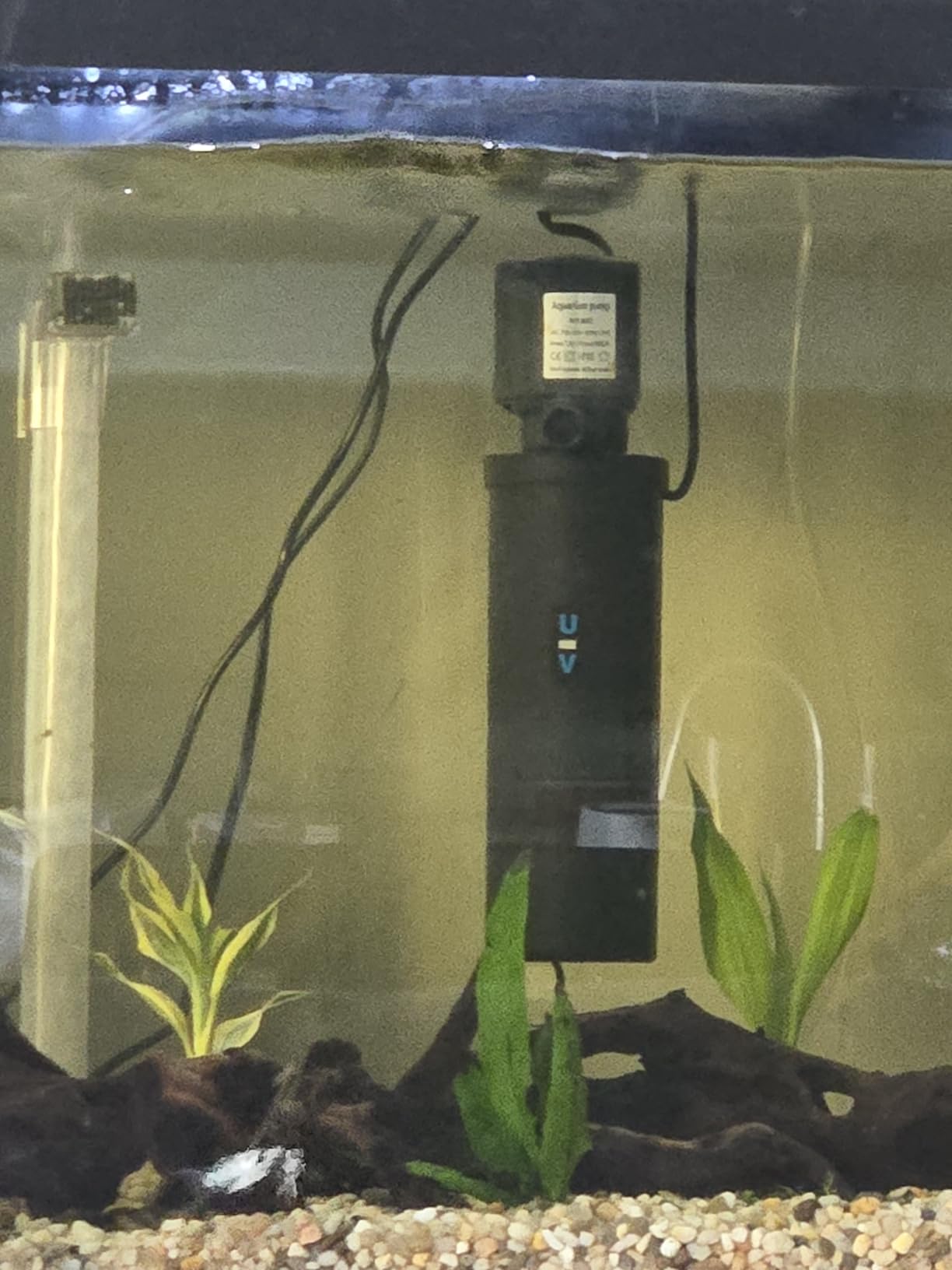 Tetra Complete with Plants 55 Gallon Fish Tank Kit, Freshwater & Saltwater customer photo 2