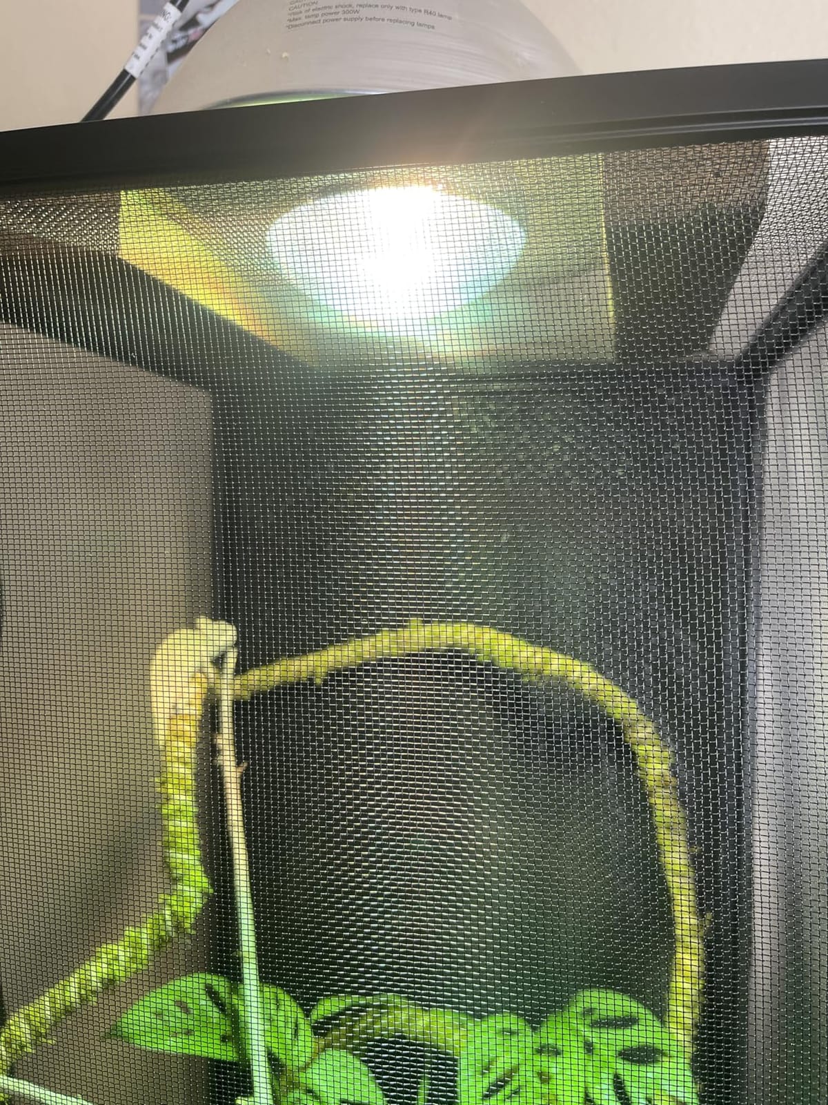 REPTI ZOO 160W Reptile Heat Lamp Full Spectrum UVA UVB Reptile Sun Lamp Self-Ballasted Vapor Basking Spot Lamp/Bulb/Light for Reptile and Amphibian customer photo 1