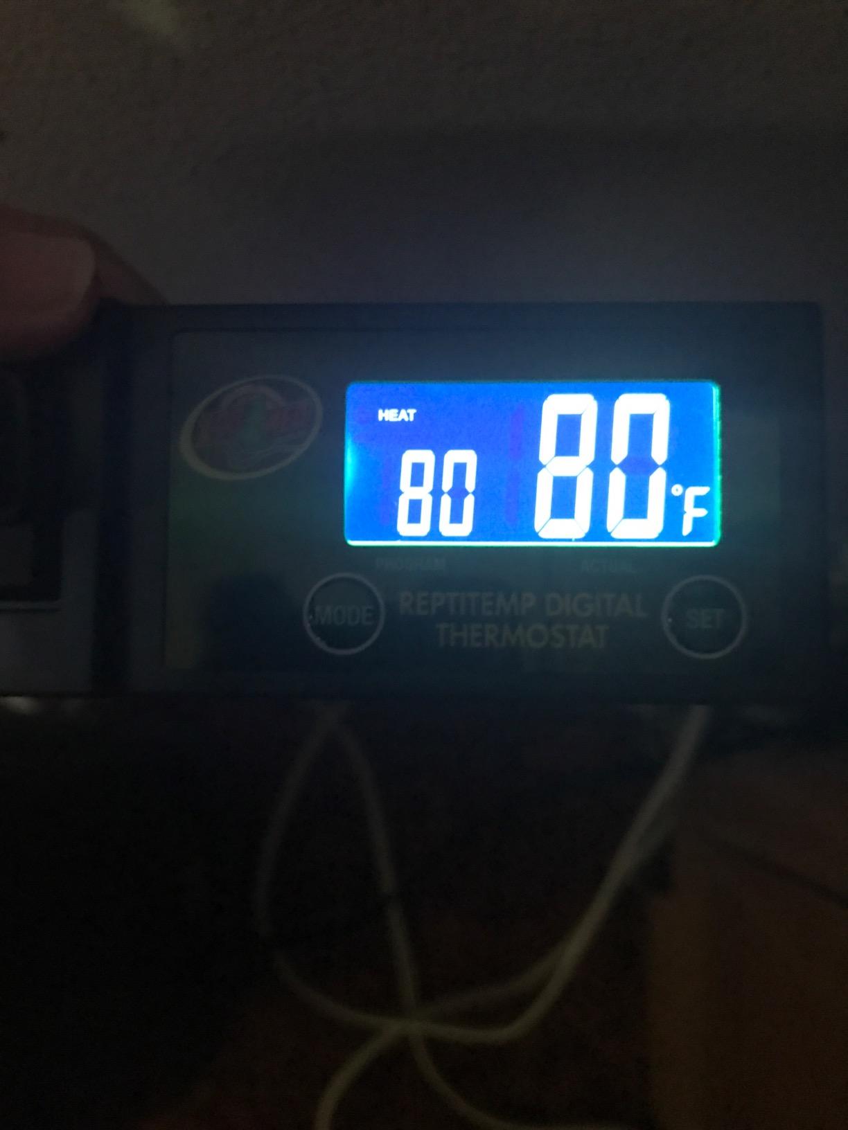 Zoo Med ReptiTemp Digital Thermostat customer photo 2