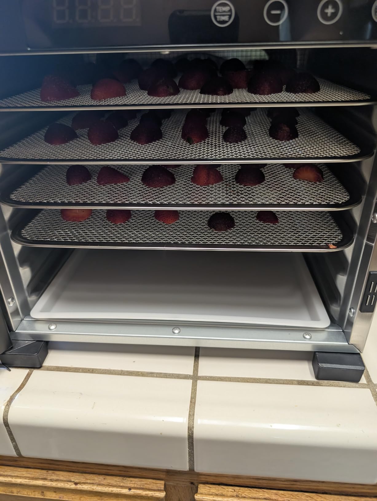 Cosori Food Dehydrator, 6 Stainless Steel Trays with 6.5 ft² Drying Space customer photo 1