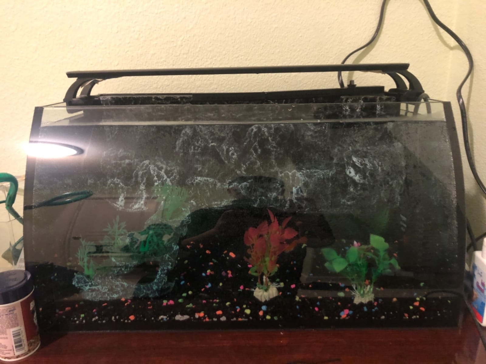 hygger Horizon 8 Gallon LED Glass Aquarium Kit for Starters with 7W Power Filter Pump, 18W Colored led Light, Wide View Curved Shape Fish Tank with Undetachable 3D Rockery Background Decor customer photo 1