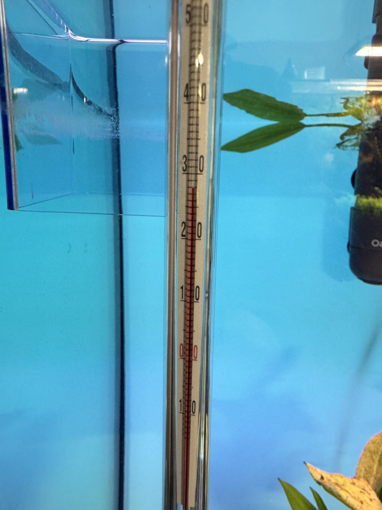 Eheim Thermocontrol e300 Heater customer photo 1