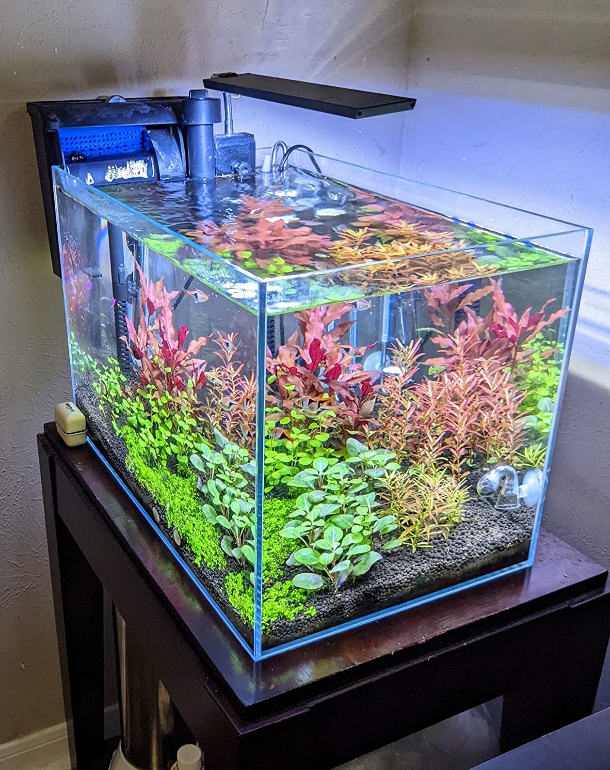 2L Aquarium Co2 System with Pressure Gauge for Aquarium Plants customer photo 2