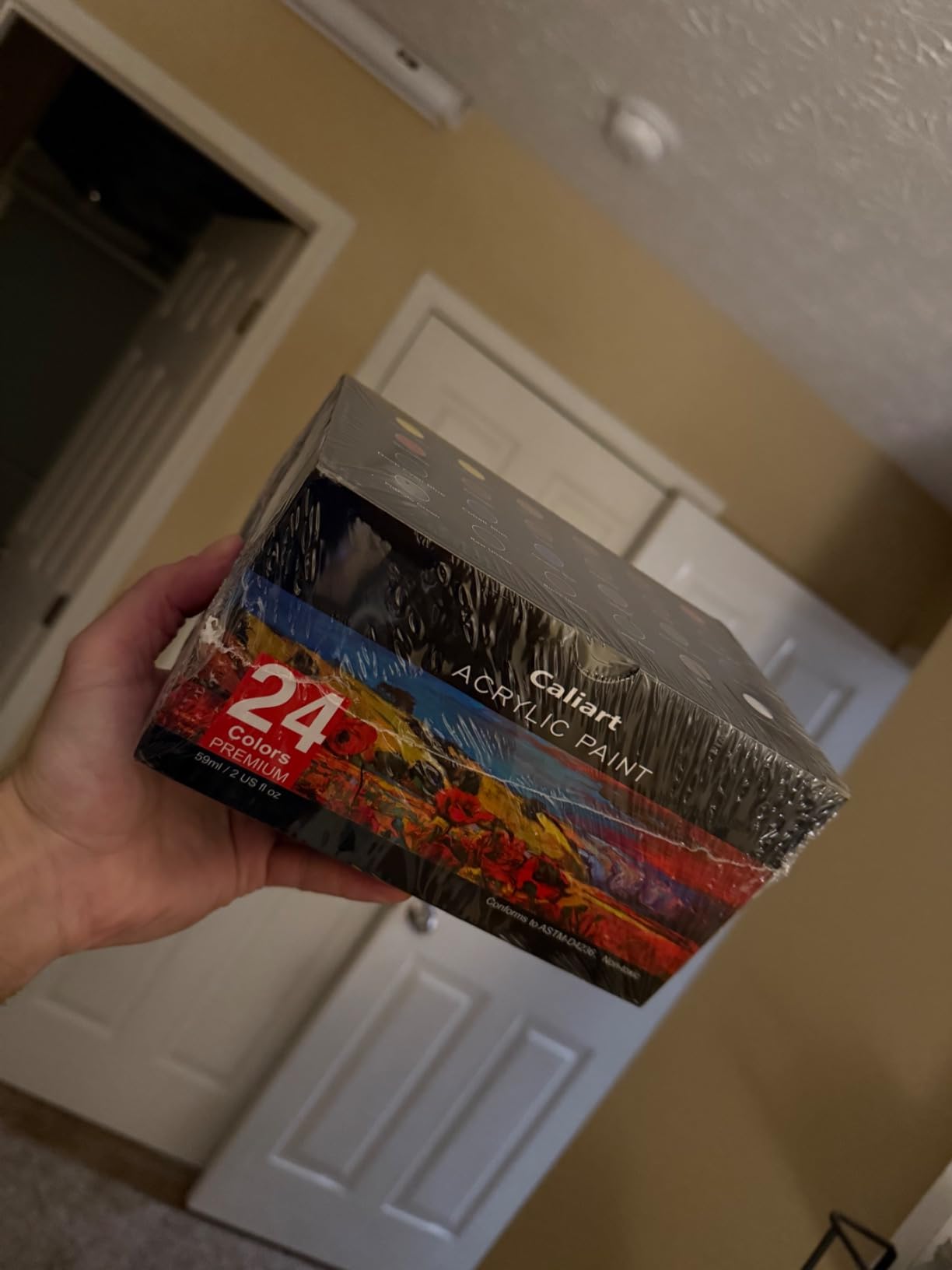 Caliart 24 Colors Acrylic Paint Set with 12 Brushes customer photo 1