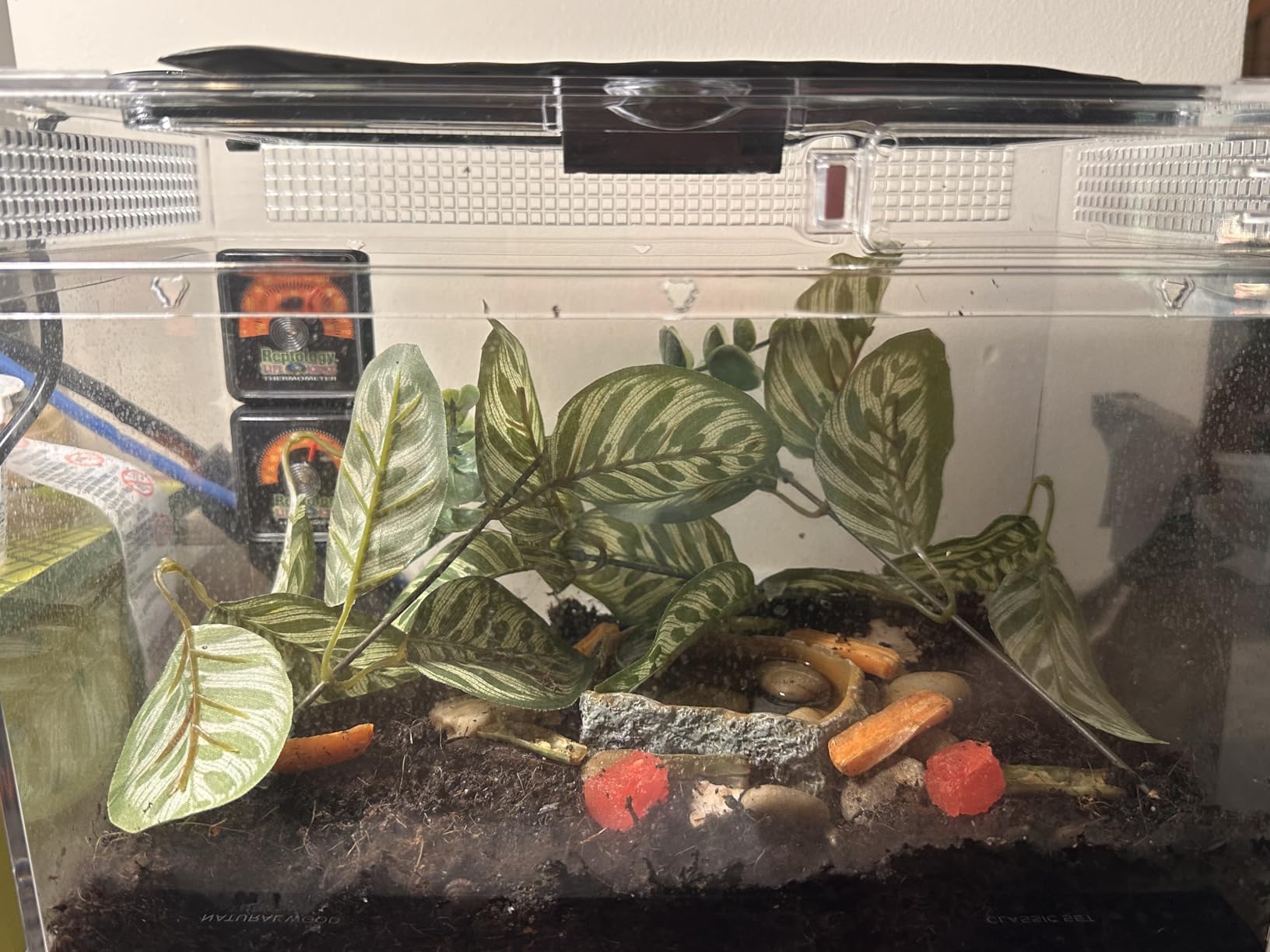 BN-LINK Reptile Heat Pad 6