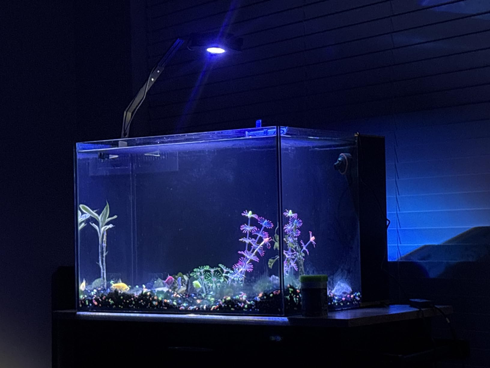 LANDEN EzFlux 35 Rimless 10 Gallon Rear Filtration Tank, Pump Included customer photo 1