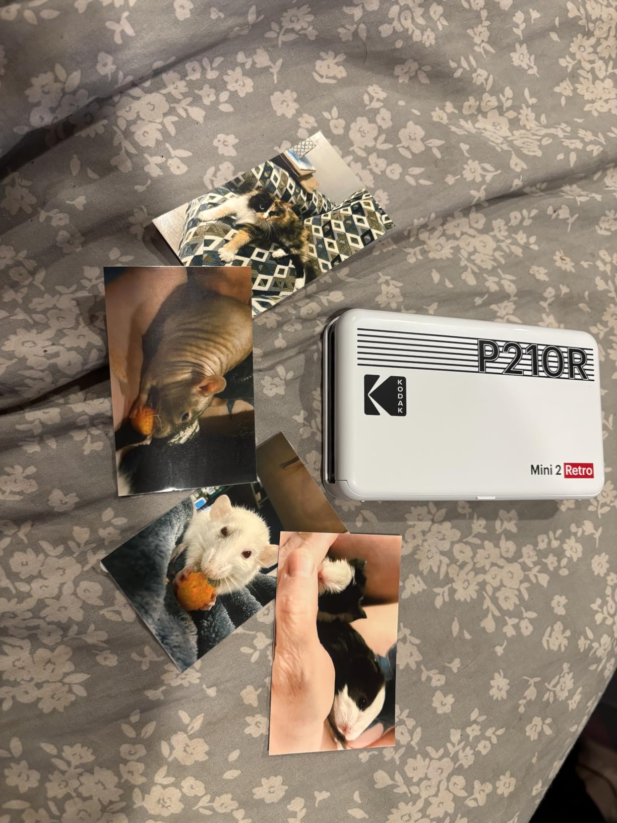 KODAK Mini 2 Retro 2x3 Portable Photo Printer, 4PASS, 38 Sheets, White customer photo 2