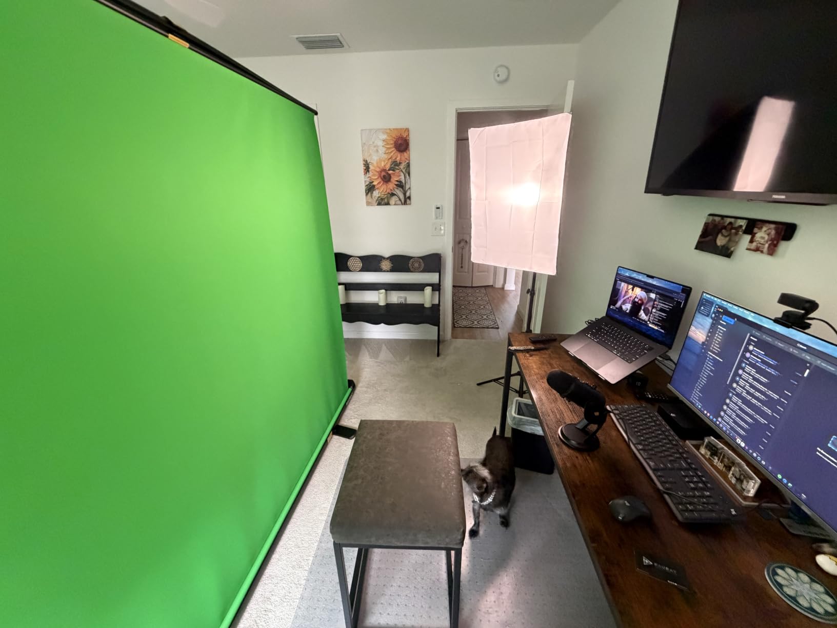 【Wider Style】 RAUBAY 78.7 x 82.7in Large Collapsible Green Screen Backdrop customer photo 1