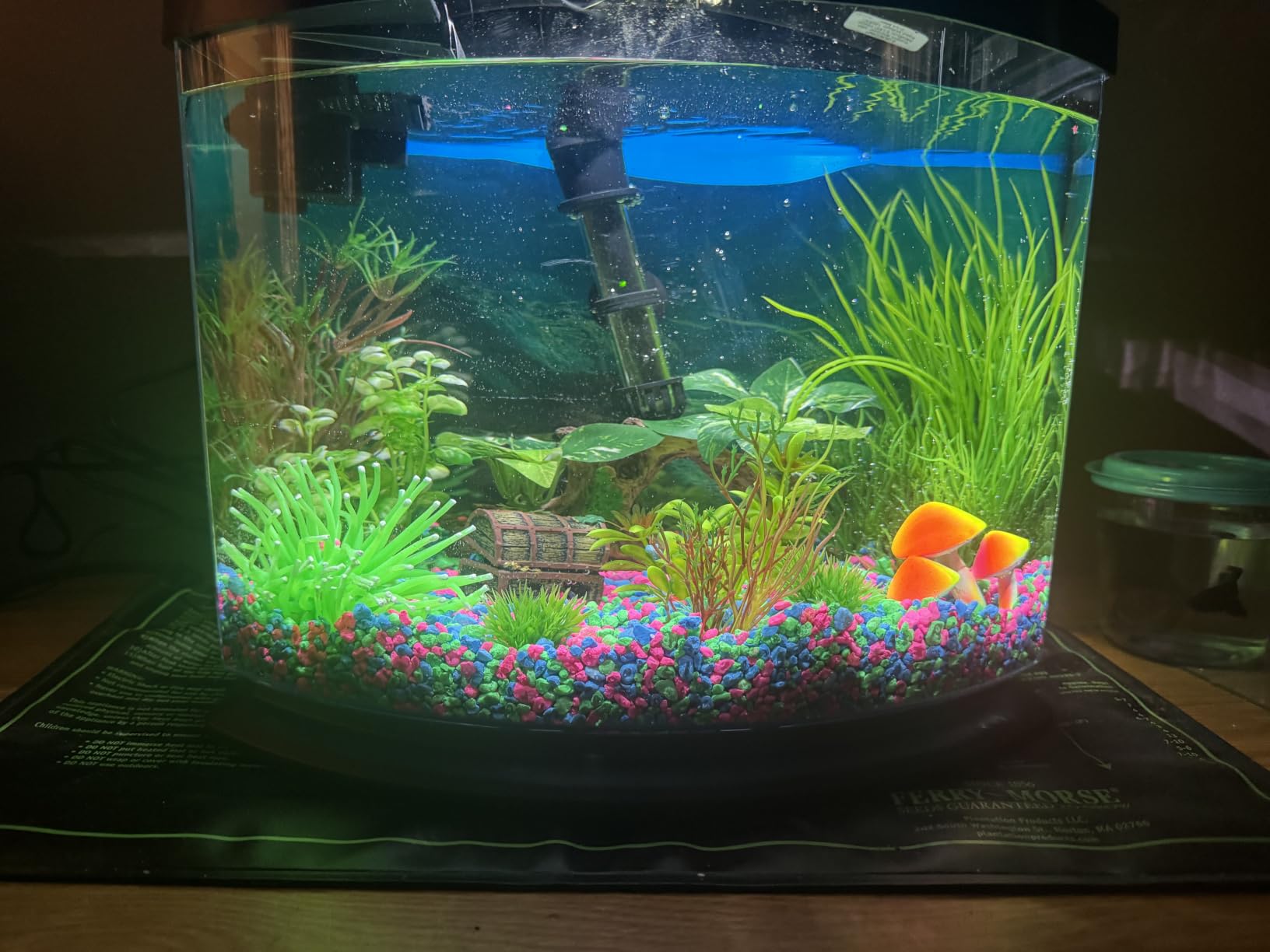 Aqueon MiniBow Small Aquarium Starter Kit, All-in-One Desktop Fish Tank for Betta, Shrimp or Small Fish, Includes SmartClean Filter Technology, LED Light and Conditioner, Black, 5 Gallon customer photo 1